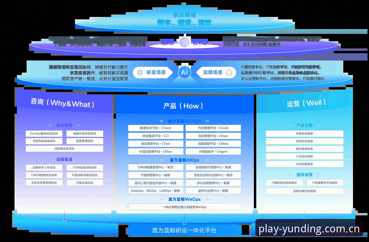 资深用户揭秘：云顶集团安装评测全流程与使用心得